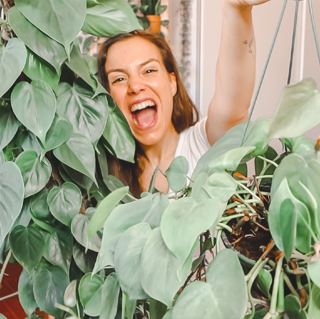 Autumn vegetable garden with A Tripeirinha